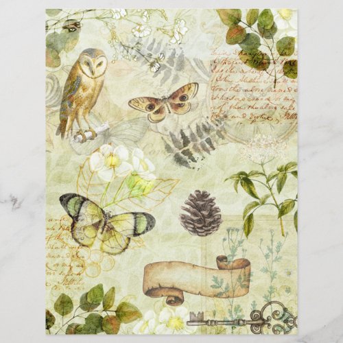 Vintage Grunge Butterflies Foliage Scrapbook Paper