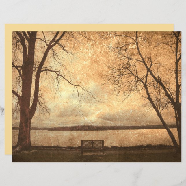 Vintage Grunge Park Bench Trees Rustic Texture (Front/Back)