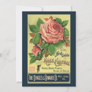 Vintage Guide to Rose Culture Book Cover Art, 1891