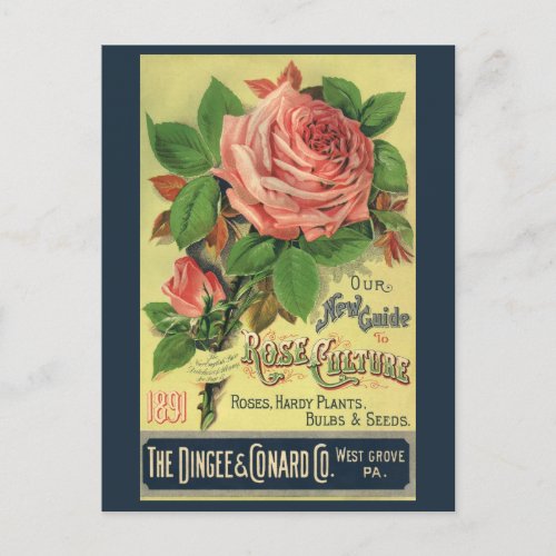 Vintage Guide to Rose Culture Book Cover Art 1891 Postcard