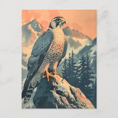 Vintage Gyrfalcon Illustration Postcard