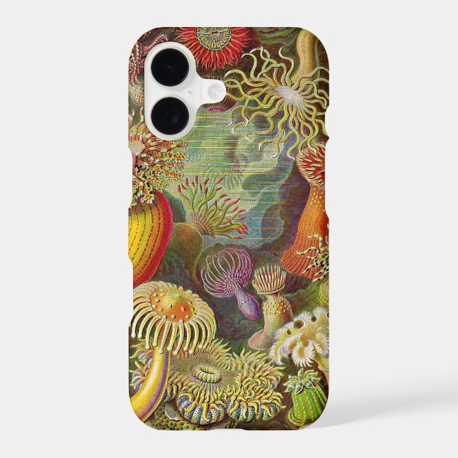 Vintage Haeckel Anemones Case-Mate iPhone Case (Back)