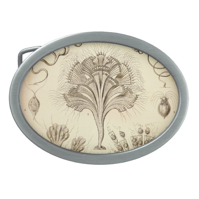 Vintage Haeckel Belt Buckle (Front)