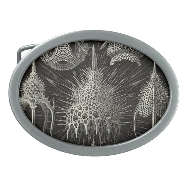 Vintage Haeckel Belt Buckle (Front)