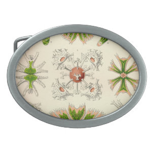 Vintage Haeckel Belt Buckle