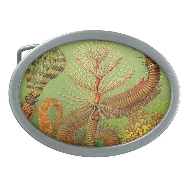 Vintage Haeckel Belt Buckle (Front)