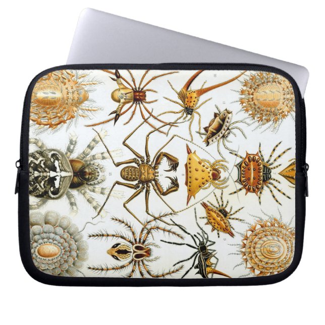 Vintage Haeckel Bugs & Spiders Laptop Sleeve (Front)