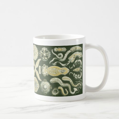 Vintage Haeckel Coffee Mug