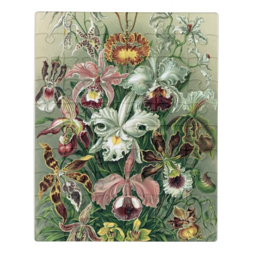 Vintage Haeckel Colorful Orchid Lithograph Poster Jigsaw Puzzle