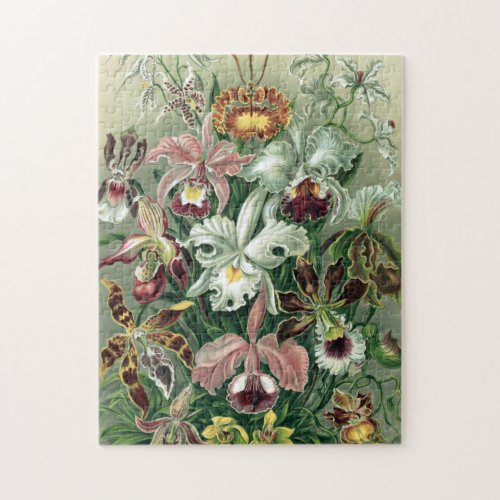 Vintage Haeckel Colorful Orchid Lithograph Poster Jigsaw Puzzle