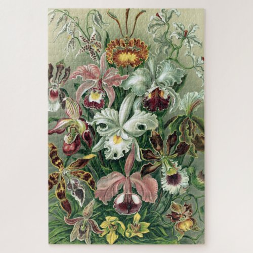 Vintage Haeckel Colorful Orchid Lithograph Poster Jigsaw Puzzle