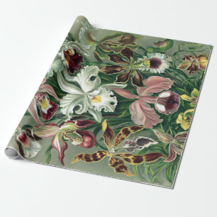 Vintage Haeckel Colorful Orchid Lithograph Poster Wrapping Paper