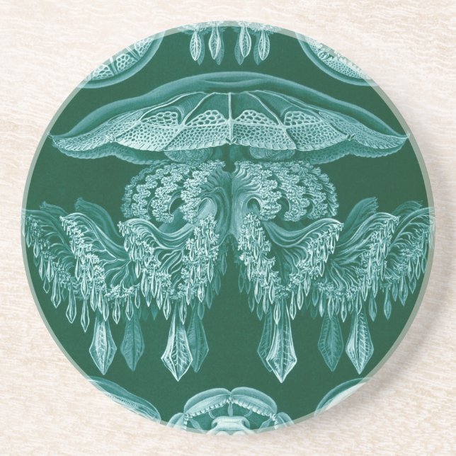 Vintage Haeckel Drink Coaster (Front)