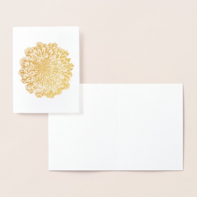 Vintage Haeckel Foil Card (Display)