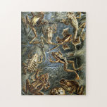 Vintage Haeckel Frogs And Toads Jigsaw Puzzle at Zazzle