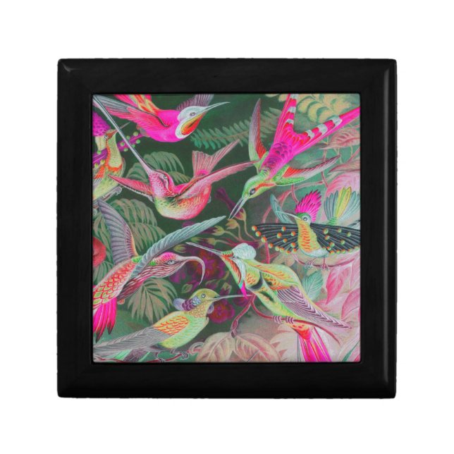 Vintage Haeckel Hummingbirds Jewelry Box (Front)