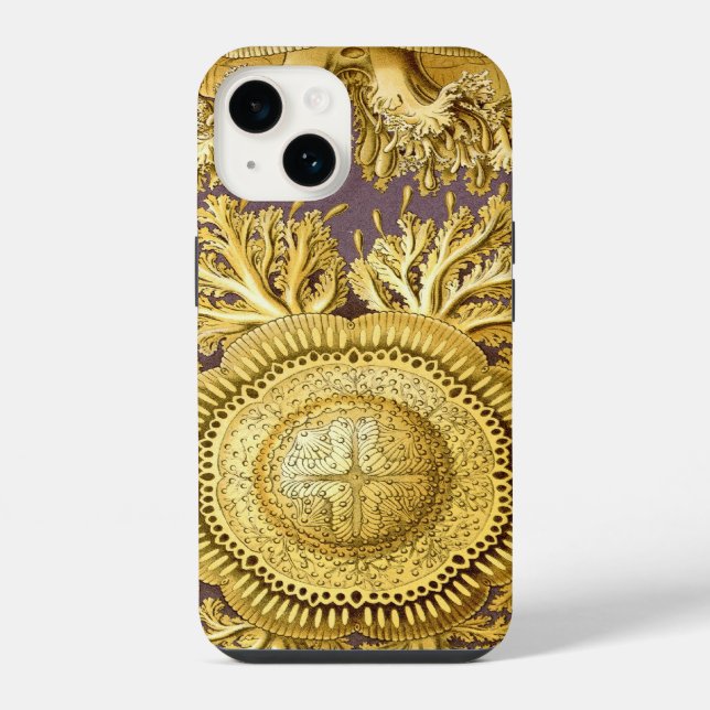 Vintage Haeckel Iphone Case (Back)