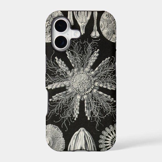 Vintage Haeckel iPhone Case (Back)
