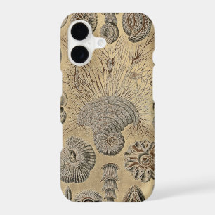 Vintage Haeckel iPhone 17 Case