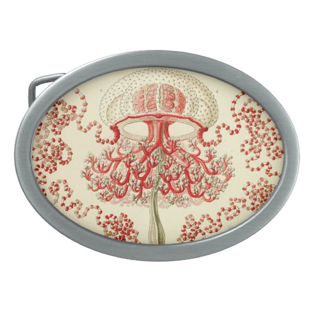 Vintage Haeckel Jellyfish Belt Buckle (Front)