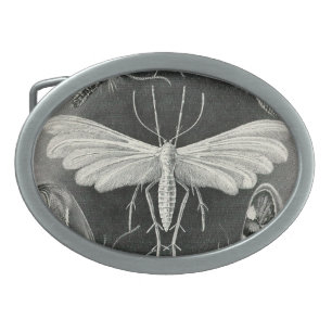 Vintage Haeckel Moth Belt Buckle
