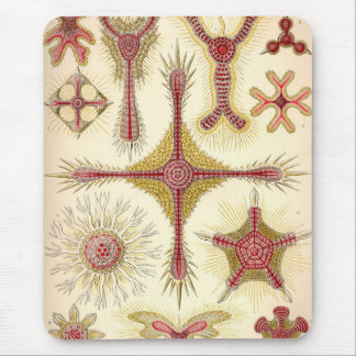 Vintage Haeckel Mouse Pad