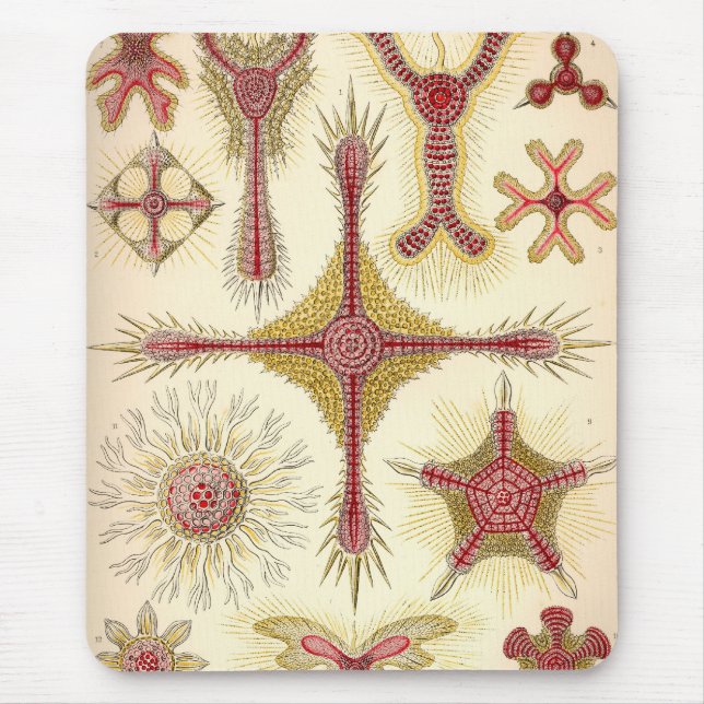 Vintage Haeckel Mouse Pad (Front)