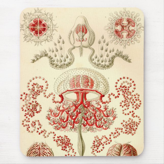 Vintage Haeckel Mouse Pad (Front)