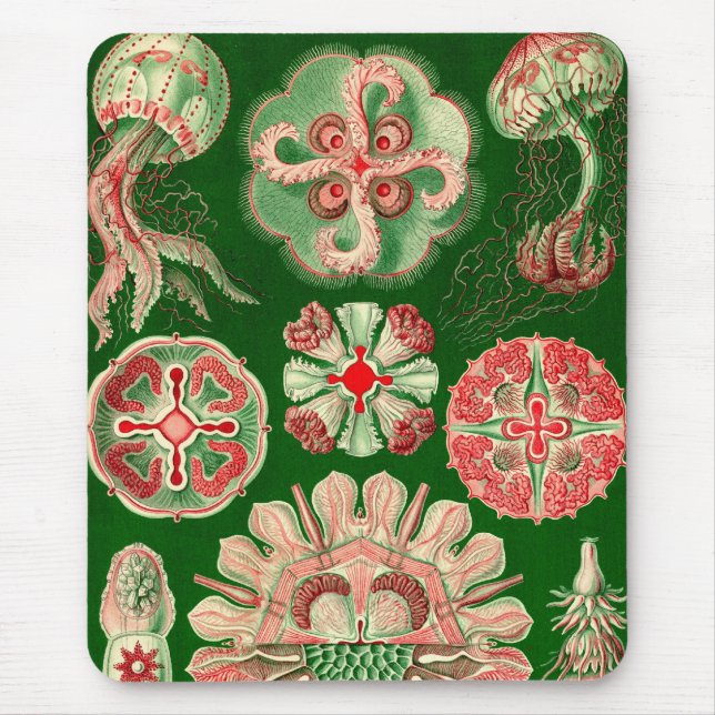 Vintage Haeckel Mouse Pad (Front)