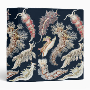 Vintage Haeckel Nudibranch Ocean Art 3 Ring Binder