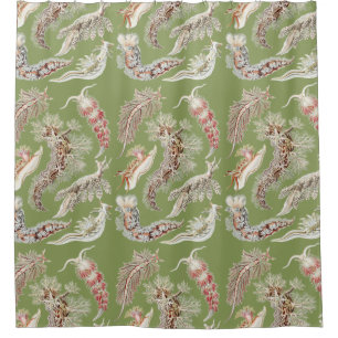 Vintage Haeckel Nudibranch Ocean Art Shower Curtain