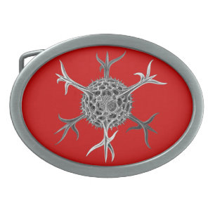Vintage Haeckel Oval Belt Buckle