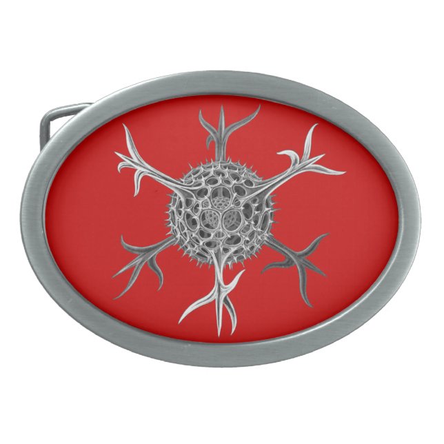 Vintage Haeckel Oval Belt Buckle (Front)
