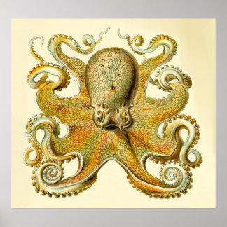 Vintage Haeckel Oversized Octopus Print