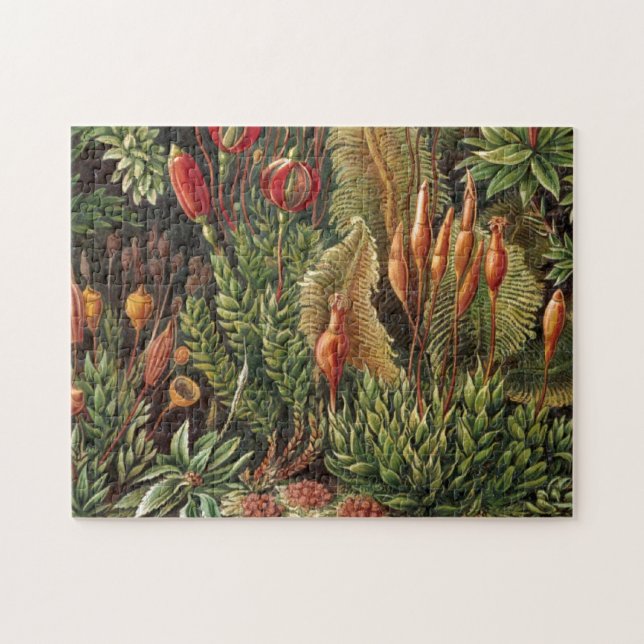 Vintage Haeckel Plant Life Print Jigsaw Puzzle (Horizontal)