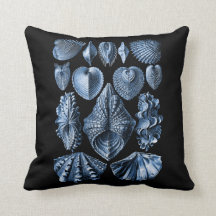 Vintage Haeckel Seashells Pillow