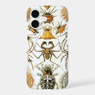 Vintage Haeckel Spiders iPhone 17 Case