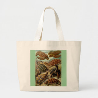 Vintage Haeckel Turtles Large Tote Bag