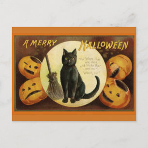 Vintage Halloween Black Cat and Carved Pumpkins Postcard