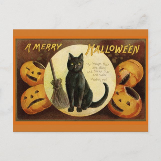 Vintage Halloween Black Cat and Carved Pumpkins  Postcard (Front)