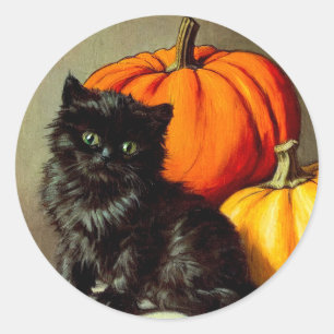 Vintage Halloween Black Cat and Pumpkins Classic Round Sticker