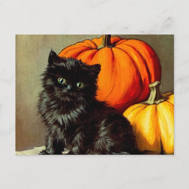 Vintage Halloween Black Cat and Pumpkins Holiday Postcard (Front)