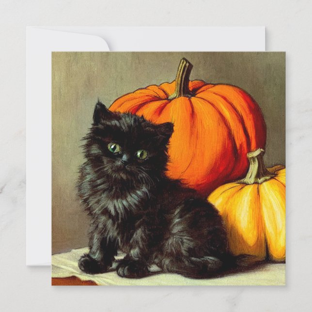Vintage Halloween Black Cat and Pumpkins Invitation (Front)