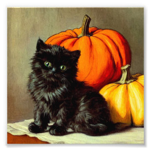 Vintage Halloween Black Cat and Pumpkins Photo Print