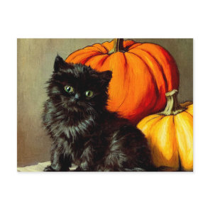 Vintage Halloween Black Cat and Pumpkins Postcard