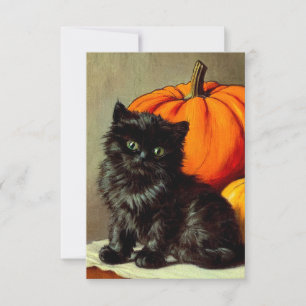 Vintage Halloween Black Cat and Pumpkins RSVP Card