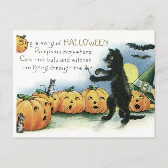 Vintage Halloween Black Cat Mice Mouse Postcard (Front)