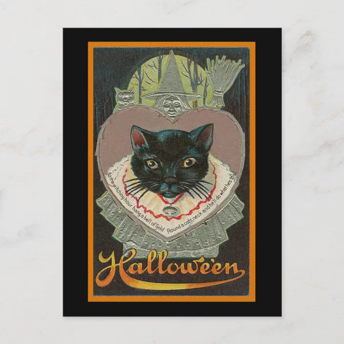 1 Vintage Black Cat Postcard