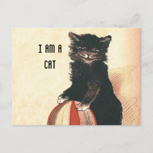 Vintage HALLOWEEN Black Cat Postcard