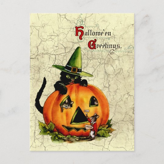 Vintage Halloween Black Cat Postcard | Zazzle.com